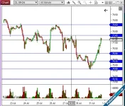 Ninza Horizontal Label